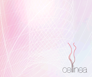 Cellinea - 셀룰 라이트